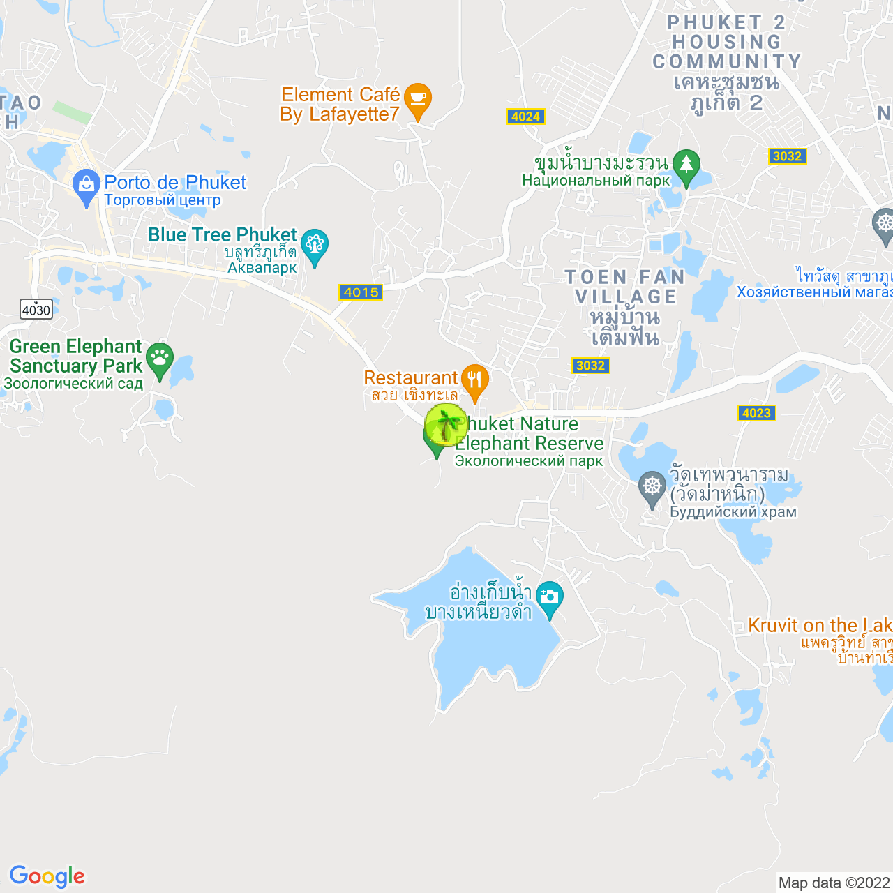 Кафе с собаками на карте Пхукета